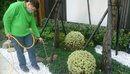 花園除蟲工程 (3)