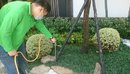 花園除蟲工程 (4)