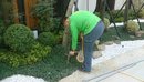 花園除蟲工程 (6)