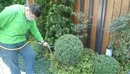 花園除蟲工程 (7)