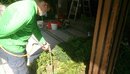花園除蟲工程 (10)
