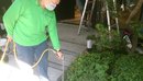 花園除蟲工程 (11)